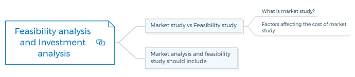 Feasibility analysis and Investment analysis